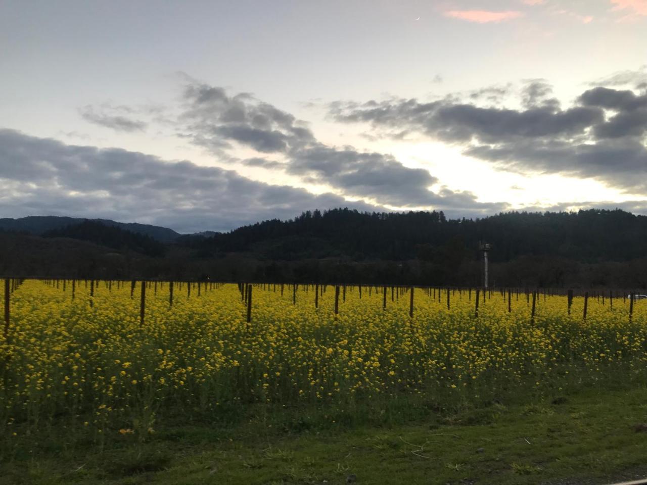 Chardonnay Lodge Napa Exterior photo